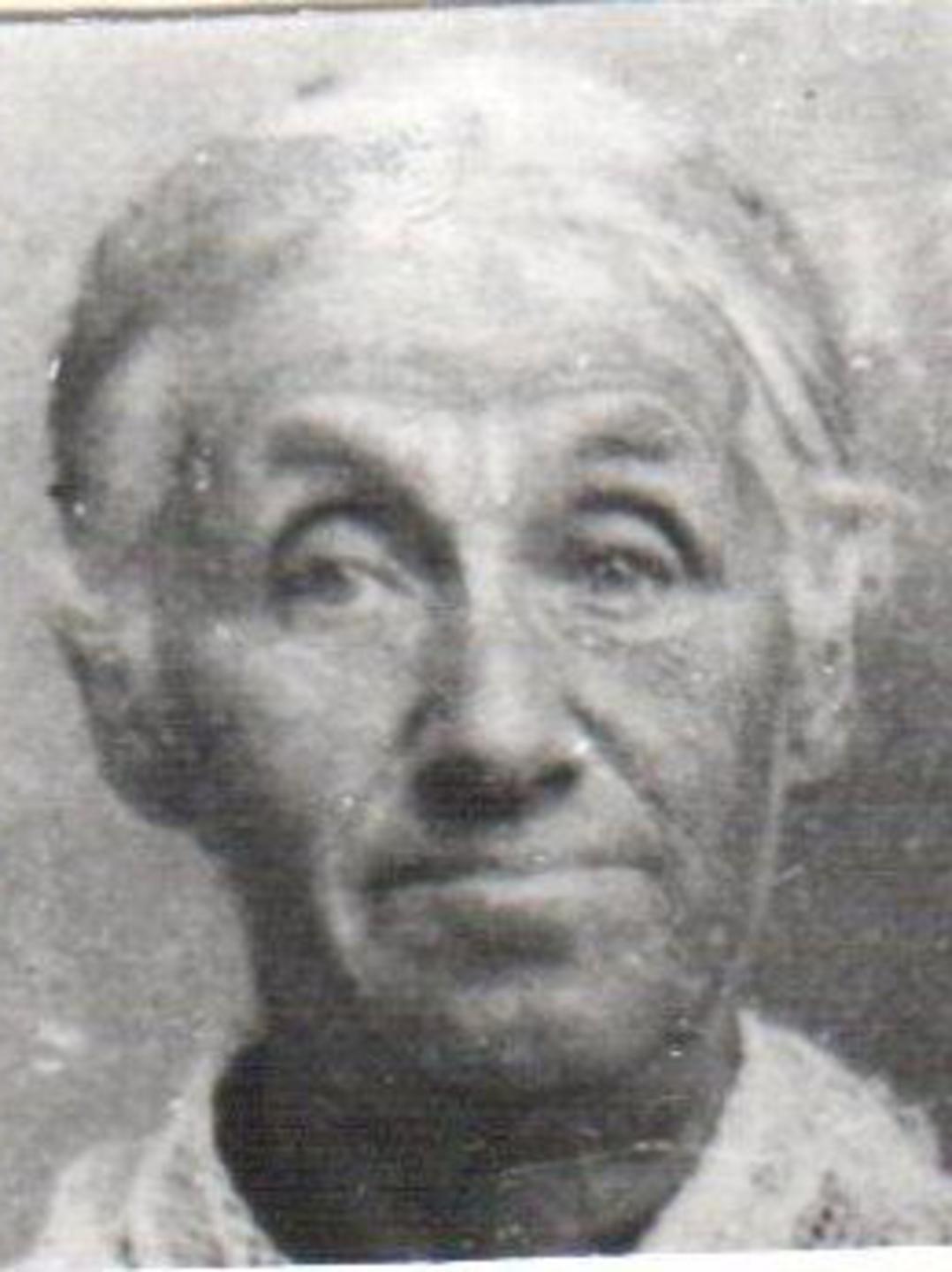 Johanna H. Olsson (1834 - 1912) Profile